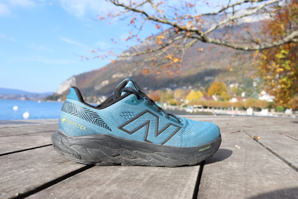 Picture of the New Balance 880 V14 GTX at annecy lake