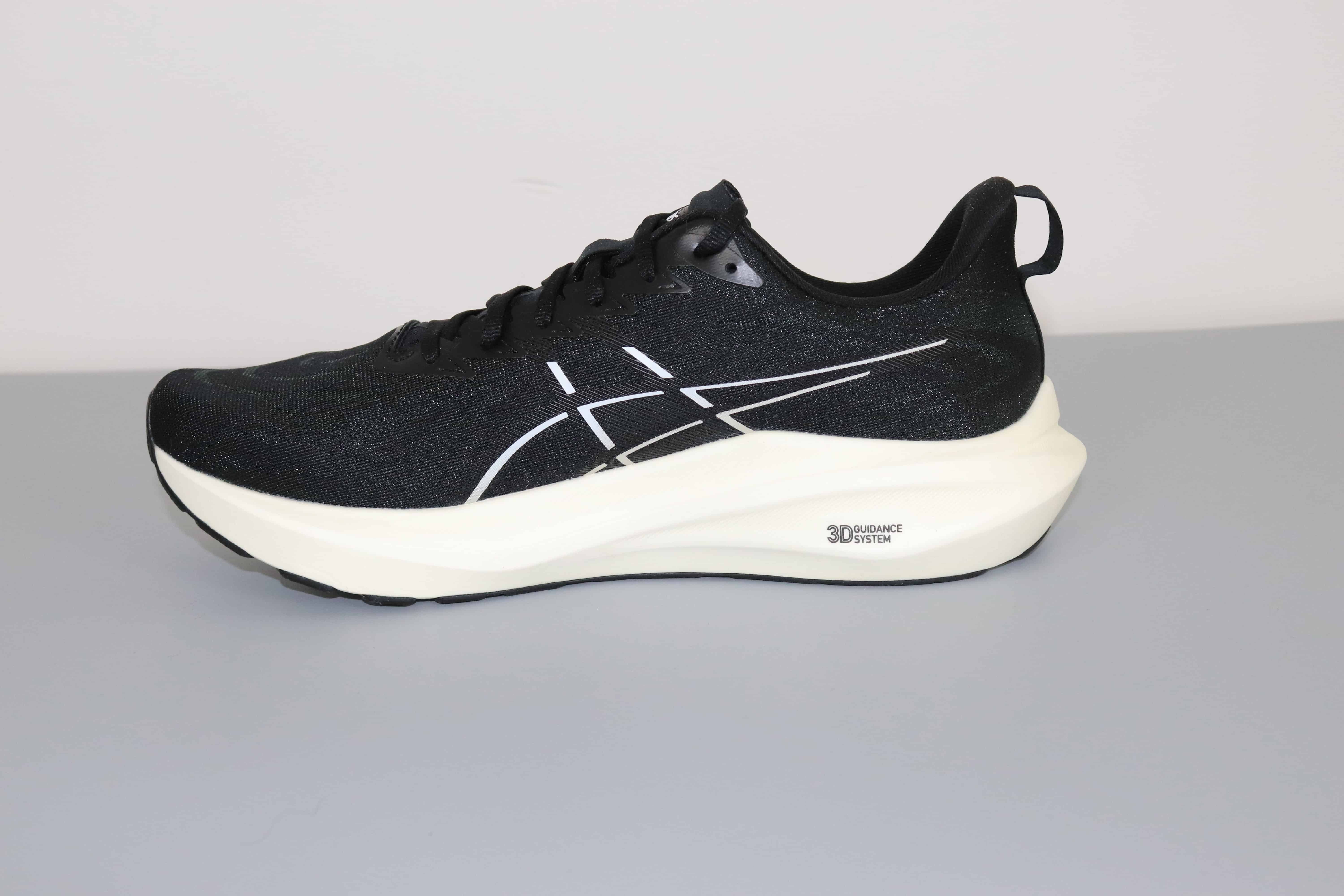 Picture of the Asics GT-2000 13 from the medial side